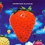 The Lightning Seeds - Jollification (Music CD)