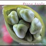 Fiona Apple - Extraordinary Machine (Music CD)