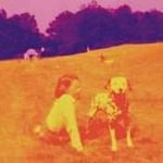 Eels - Blinking Lights Other Revelations (Music CD)