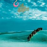 The Polyphonic Spree - Together Were Heavy (Music CD)