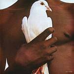 Santana - Very Best Of (Music CD)