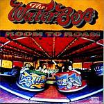 The Waterboys - Room To Roam (Music CD)