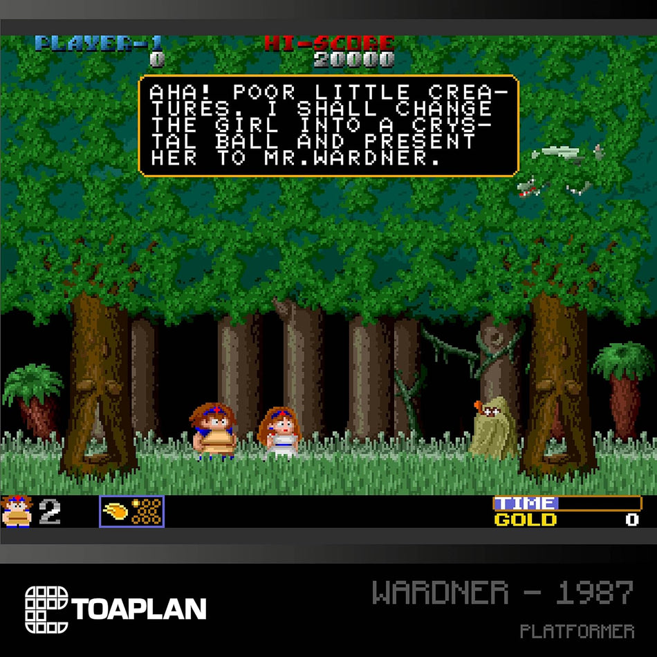 Evercade Toaplan Arcade 2 Cartridge 09