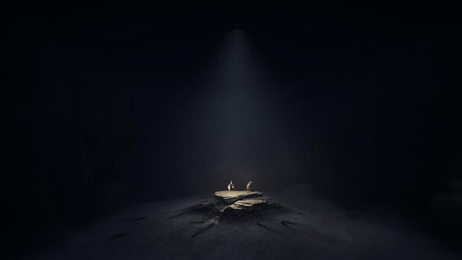 REANIMAL (Xbox Series X)