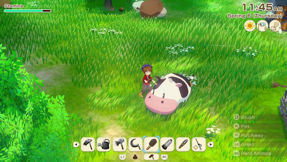Story of Seasons: Grand Bazaar (PS5)