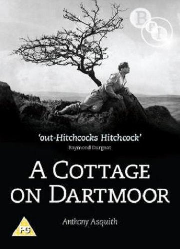Cottage On Dartmoor