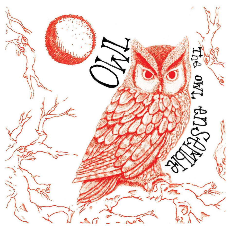 The Owl Ensemble - Owl (Music CD)