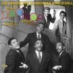 Various Artists - Golden Age Of American Rock 'n' Roll, The (Special Doo Wop Edition 1956-1963) (Music CD)