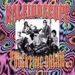Kaleidoscope - Pulsateing Dreams (Music CD)