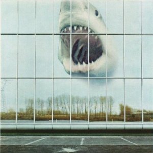 Black Mountain - Wilderness Heart (Music CD)