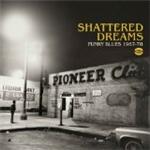 Various Artists - Shattered Dreams (Funky Blues 1967-1978) (Music CD)