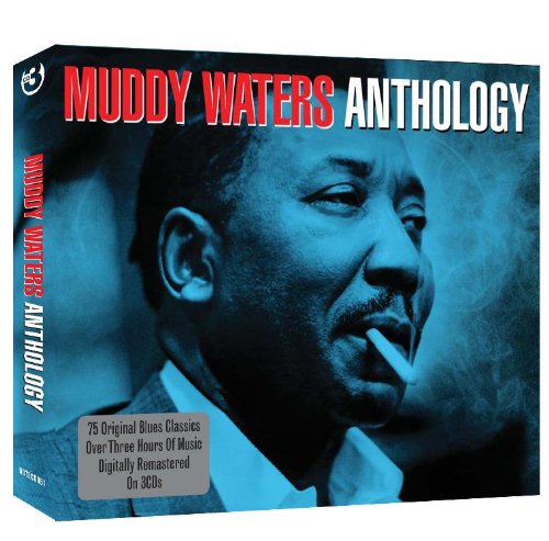 Muddy Waters - Anthology (Music CD)