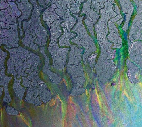 Alt-J - Awesome Wave (Music CD)