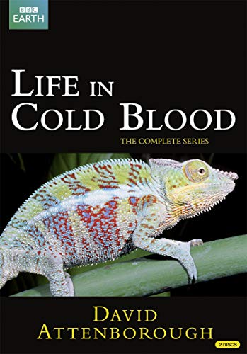 Life In Cold Blood