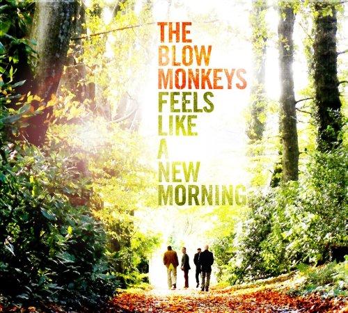 Blow Monkeys (The) - Feels Like A New Morning (Music CD)