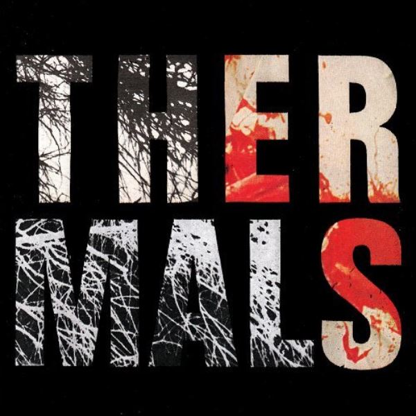 Thermals (The) - Desperate Ground (Music CD)