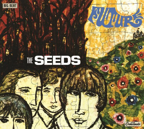 The Seeds - Future (Music CD)