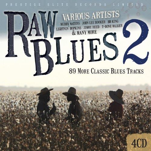 Various Artists - Raw Blues, Vol. 2 (Music CD)