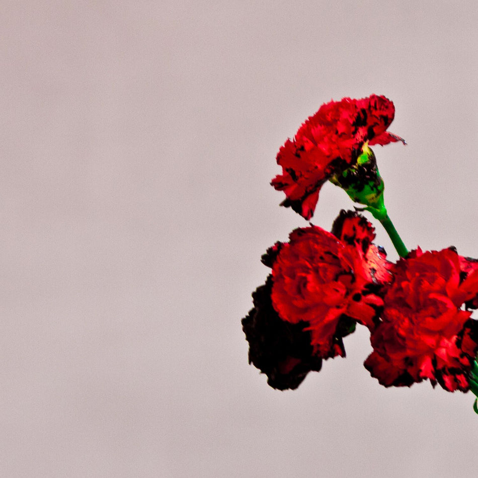 John Legend - Love in the Future (Music CD)