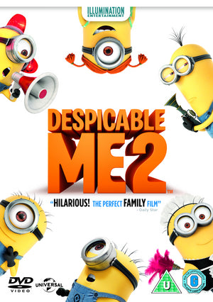 Despicable Me 2 (DVD)