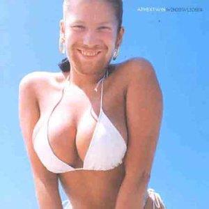 Aphex Twin - Windowlicker [Vinyl]