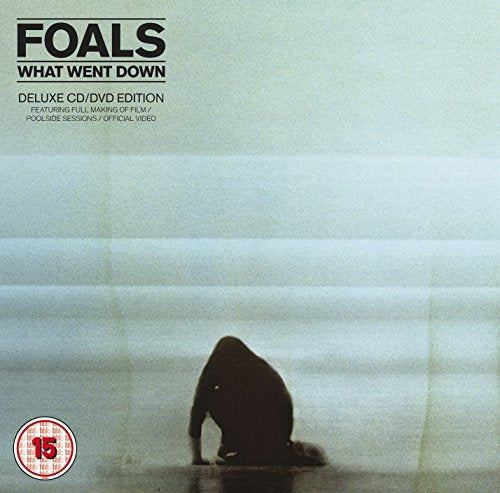 Foals - What Went Down (CD+DVD) (Music CD)