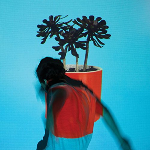 Local Natives - Sunlit Youth (Music CD)