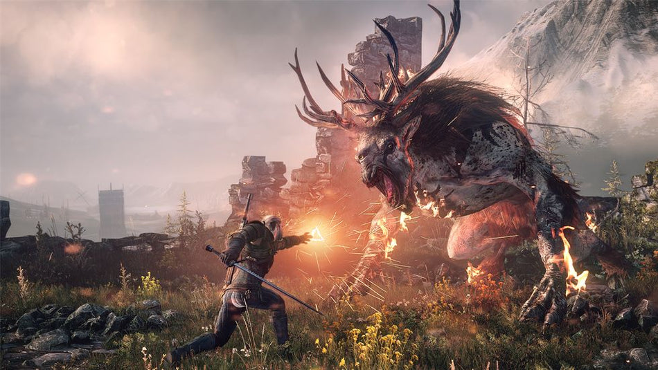 The Witcher 3: Wild Hunt (Xbox One)