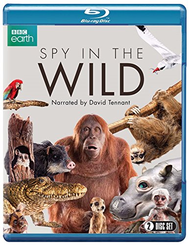 Spy in the Wild (Blu-ray)