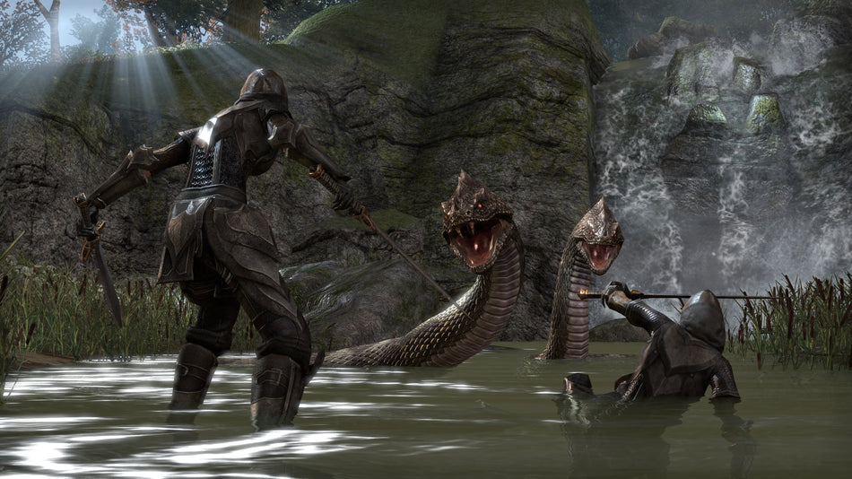 The Elder Scrolls Online: Tamriel Unlimited (PS4)