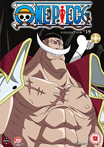 One Piece (Uncut) Collection 19 (Episodes 446-468) [DVD]