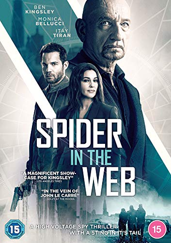 Spider in the Web (2020)