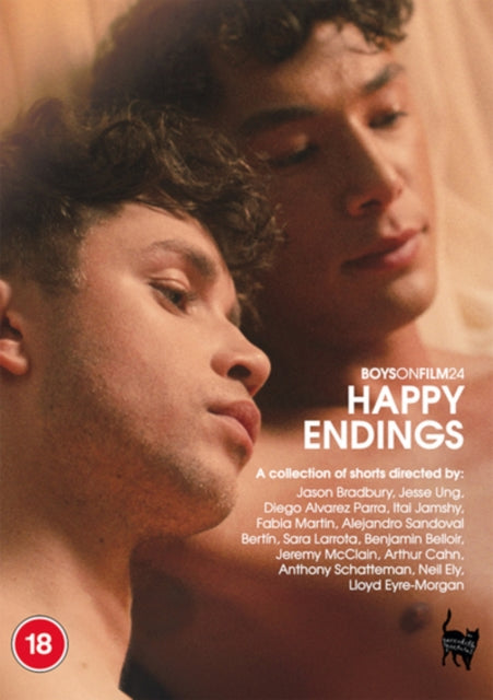 Click to view product details and reviews for Boys on film 24 happy endings dvd.