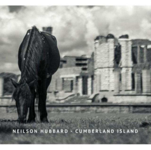 Neilson Hubbard - Cumberland Island [CD / Album]
