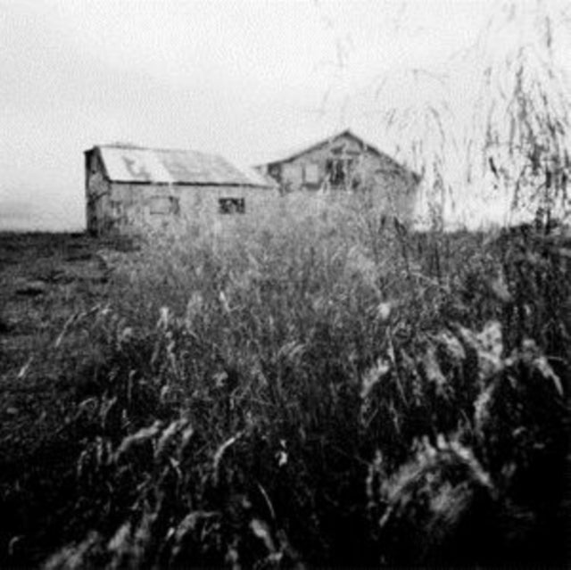 A-Sun Amissa - You Stood Up for Victory, We Stood Up for Less [CD / Album]