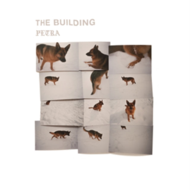 The Building - Petra [CD / Album]