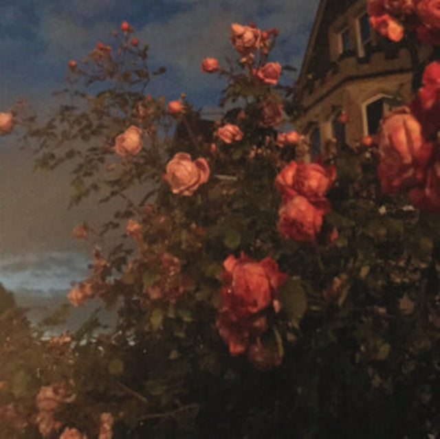 John Bence - Love [CD / Album]