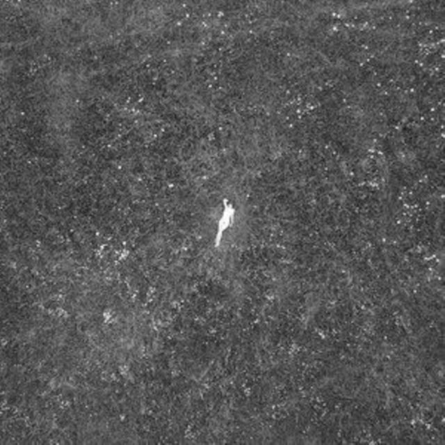 Birds of Passage - The Last Garden [CD / Album]