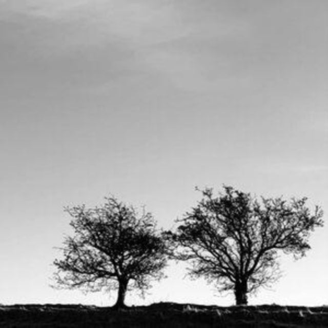 Jon Allen - A Heightened Sense of Everything [CD / Album]