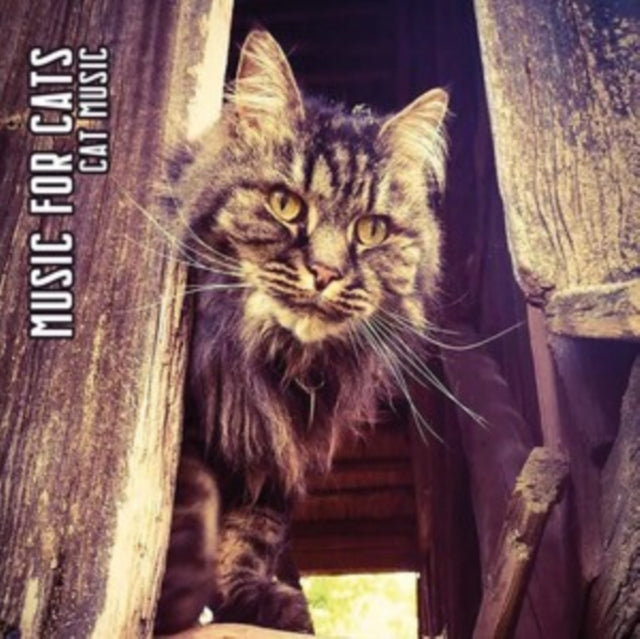 Music for Cats - Cat Music [CD / Album]