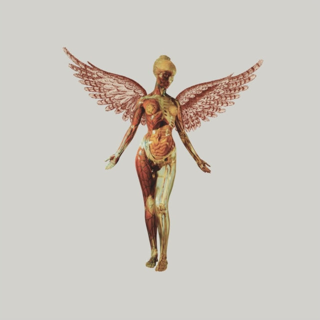 Nirvana - In Utero [CD / Box Set]
