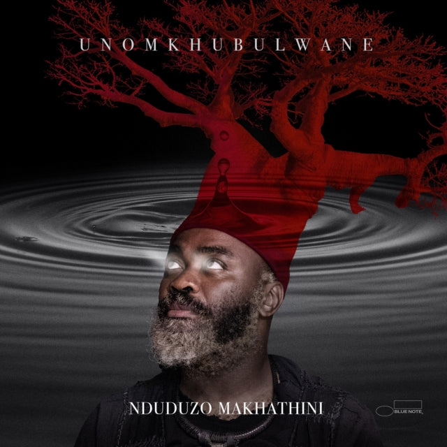 Nduduzo Makhathini - UNomkhubulwane [CD / Album]