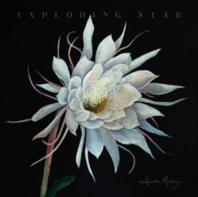 Heather Maloney - Exploding Star [CD / Album]