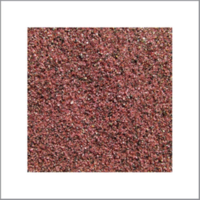 Travis Laplante & Peter Evans - Secret Meeting [CD / Album]