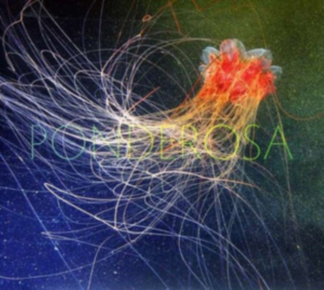 Ponderosa - Pool Party [CD / Album]