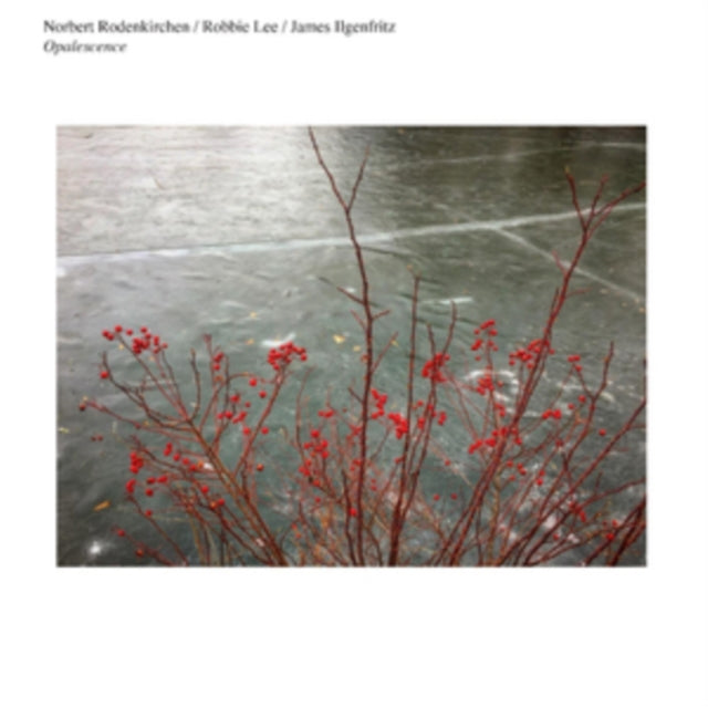 Norbert Rodenkirchen/Robbie Lee/James Ilgenfritz - Opalescence [CD / Album]