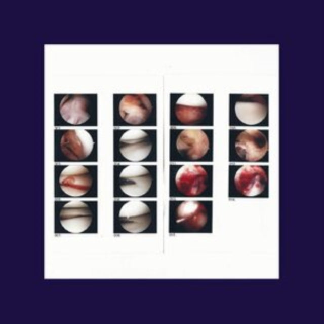 The Cradle - Laughing in My Sleep [CD / Album]