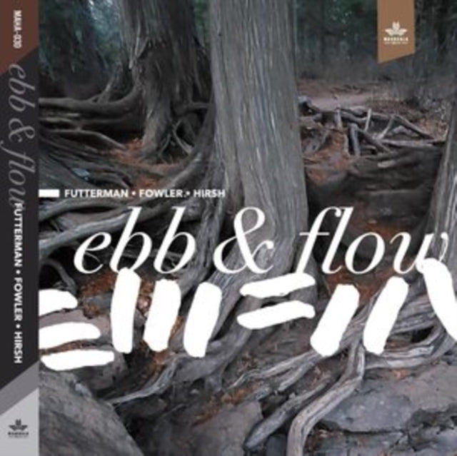 Joel Futterman, Chad Fowler and Steve Hirsh - Ebb & Flow [CD / Album]