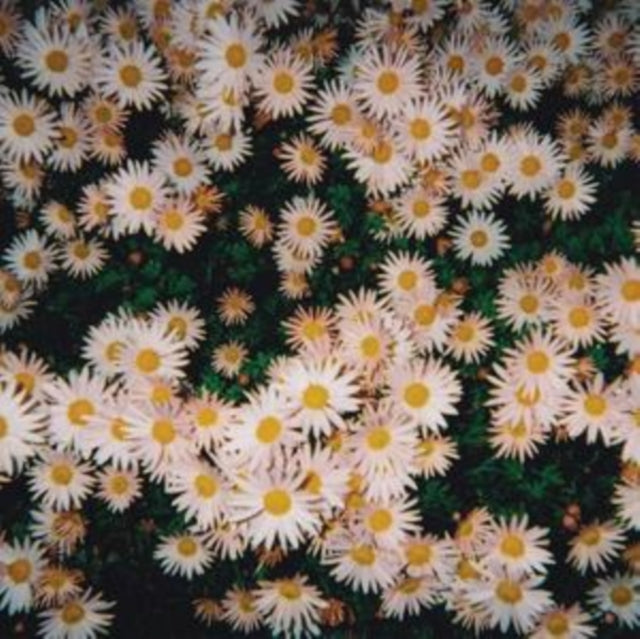 Bad Bad Hats - Bad Bad Hats [CD / Album]