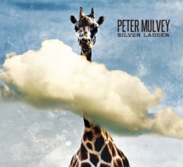 Peter Mulvey - Silver Ladder [CD / Album]